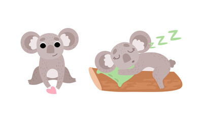 Cute Gray Koala Bear Sleeping on Log and Sitting Vector Set