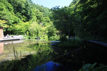 軽井沢の夏。ケラ池。	
