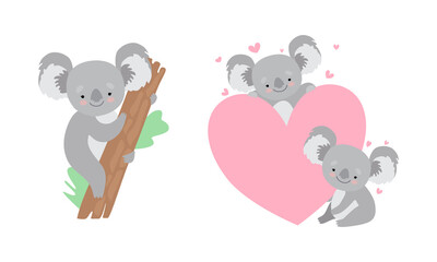 Cute Gray Koala Bear Sitting on Eucalypt Tree Trunk and Near Huge Heart Vector Set
