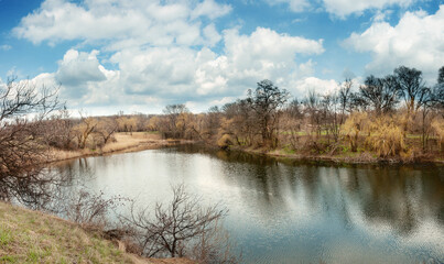 A beautiful pond in a forested area with aquatic plants and trees on the shore under
  cloudy summer sky with white clouds 
