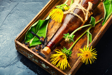 Elecampane root tincture
