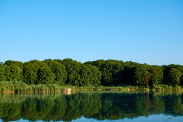 Fototapeta na wymiar dawn on a forest lake