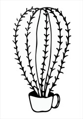 doodle illustration cactus black on white beautiful succulent line art icon