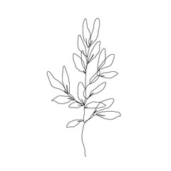 One Line Vector Drawing of Leaves Branch. Botanical Modern Single Line Art, Aesthetic Contour. Perfect for Home Decor, Wall Art Posters, or t-shirt Print, Mobile Case. Continuous Line Drawing