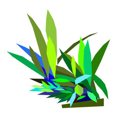 The slender, pointed leaves grow all over the tropical region.