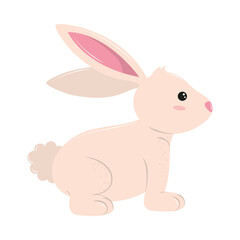 Fototapeta na wymiar cute little rabbit