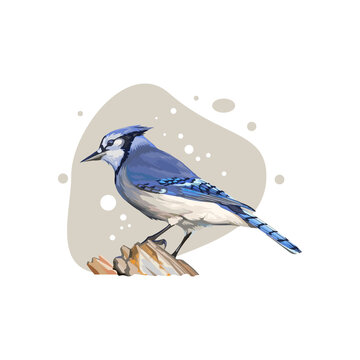 Bird Colorful Vector Illustration Art