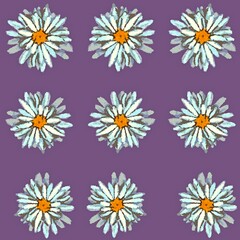 Colourful hand drawn summer chamomile pattern watercolour style on violet background