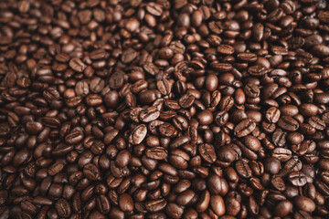 Premium Roasted coffee beans on background