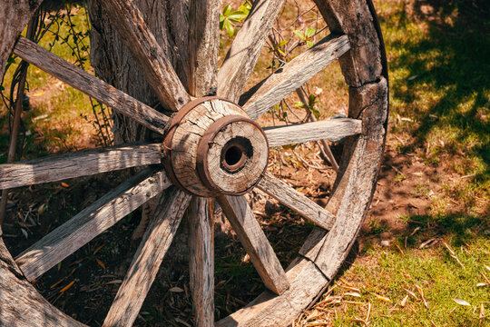 Vintage garden decoration concept. Close-up of an old rustic wooden wagon wheel leaning to tree trunk in summer. 
