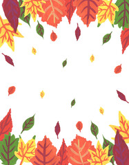 Colorful different autumn leaves on white background