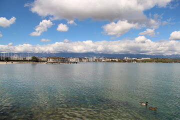 Views of the Leman lake in Geneva
