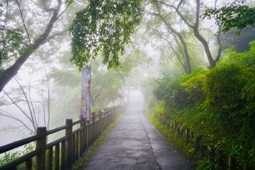 Obraz premium 霧 御岳山 Mist Mount Mitake