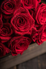 Beautiful red roses with waterdrops. Selective focus. Shallow depth of field.
