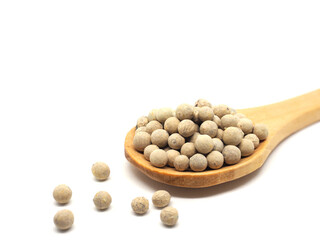 Closeup white peppers in wood spoon on white isolated natural shadow copy space ingredients kitchen concept