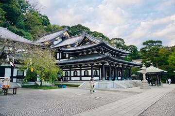 Fototapeta premium 鎌倉 長谷寺 Kamakura Hase Kannon Temple Hasedera