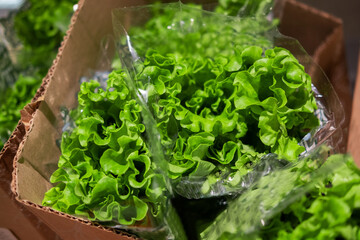 Fresh bush salad in a cardboard box