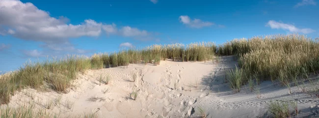 Keuken spatwand met foto nederlandse waddeneilanden hebben veel verlaten zandduinen uinder blauwe zomerhemel in nederland © ahavelaar