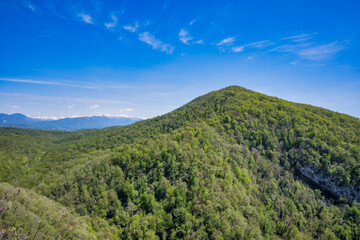 Obraz na płótnie Canvas Scenic view on a mountain covered with lush trees and bushes and snowy peaks of Caucasian ridge mountains in the background. Russia, Sochi city. Travel, hiking, climbing, scenic destinations, scenics.
