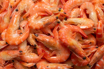 Shrimps background texture. A lot of shrimps. Cooked shrimps.