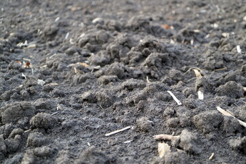 Treated soil. Land for planting agricultural plants. Background. Focus in the lower third.