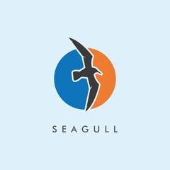 Seagul bird illustration