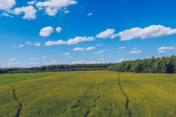 Path in the grass field. Meadow picturesque summer landscape with clouds on blue marvelous sky view background. Green grassland and forest countryside stock photo.