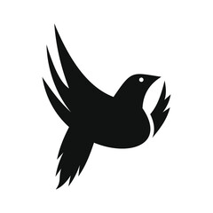 flying little bird portrait