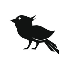 flying little bird portrait