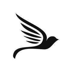 flying little bird portrait