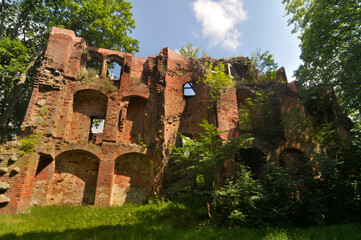 Dobra - ruiny zamku von Dewitzów, Polska - obrazy, fototapety, plakaty