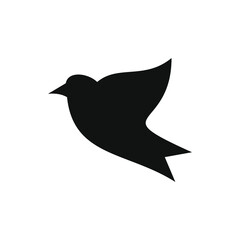 flying little bird portrait