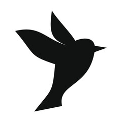 flying little bird portrait