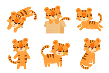 Set of little tigers in different poses. Can be used for stickers, cards, posters, printing for children's T-shirts. Flat vector illustration isolated on white. Cartoon animal character collection.