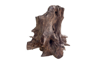 Dead tree stump isolated on white background  included clipping path.