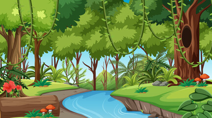 Rainforest or tropical forest at daytime scene