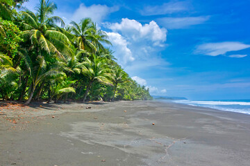 Beach, Corcovado National Park, Osa Conservation Area, Osa Peninsula, Costa Rica, Central America,...
