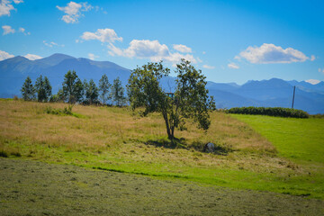 Krajobraz górski w polskich tatrach © Katarzyna