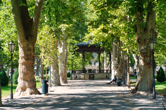Sunny summer day in the shade of old trees and flowers blossom in city park of Zagreb, Croatia