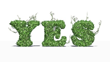 YES - text created of green ivy leaves with shadow on the floor - isolated on white background - 3D illustration