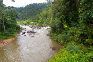 Rainforest River, Sinharaja National Park Rain Forest, Sinharaja Forest Reserve, World Heritage...
