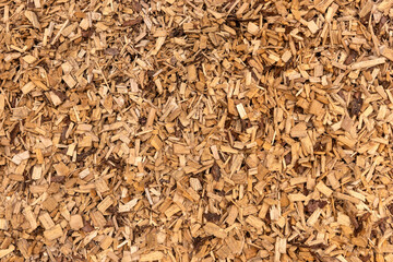 Bark mulch, brown wood chips. Background, Texture