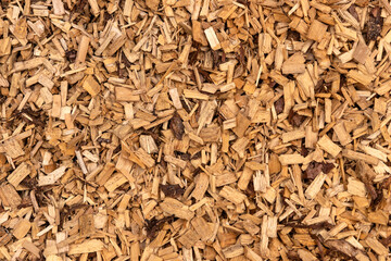 Bark mulch, brown wood chips. Background, Texture
