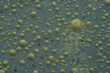 Very dirty water with bubbles closeup view