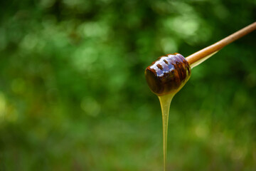 Mi&oacute;d wielokwiatowy na trawie