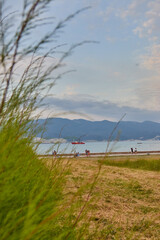 irrigation system in the field