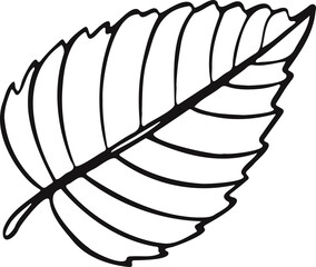 Leaf plant tree line drawing illustration symbol
