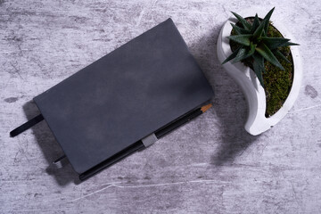 Blank notepad with plant pot on cement background