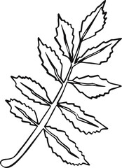 Leaf plant tree line drawing illustration symbol