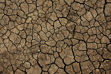 Dry ground texture top view stock images. Cracked dry ground background photo images. Detail of dry ground earth images